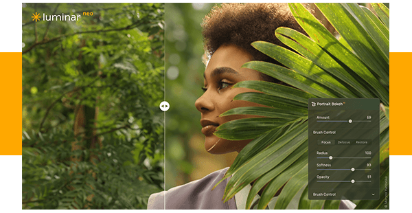 (portrait tool image)