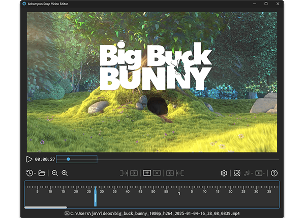 Video player