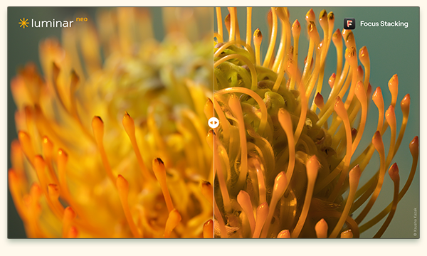 before and after screenshot